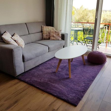 Apartman Luka Novigrad  Bagian luar foto