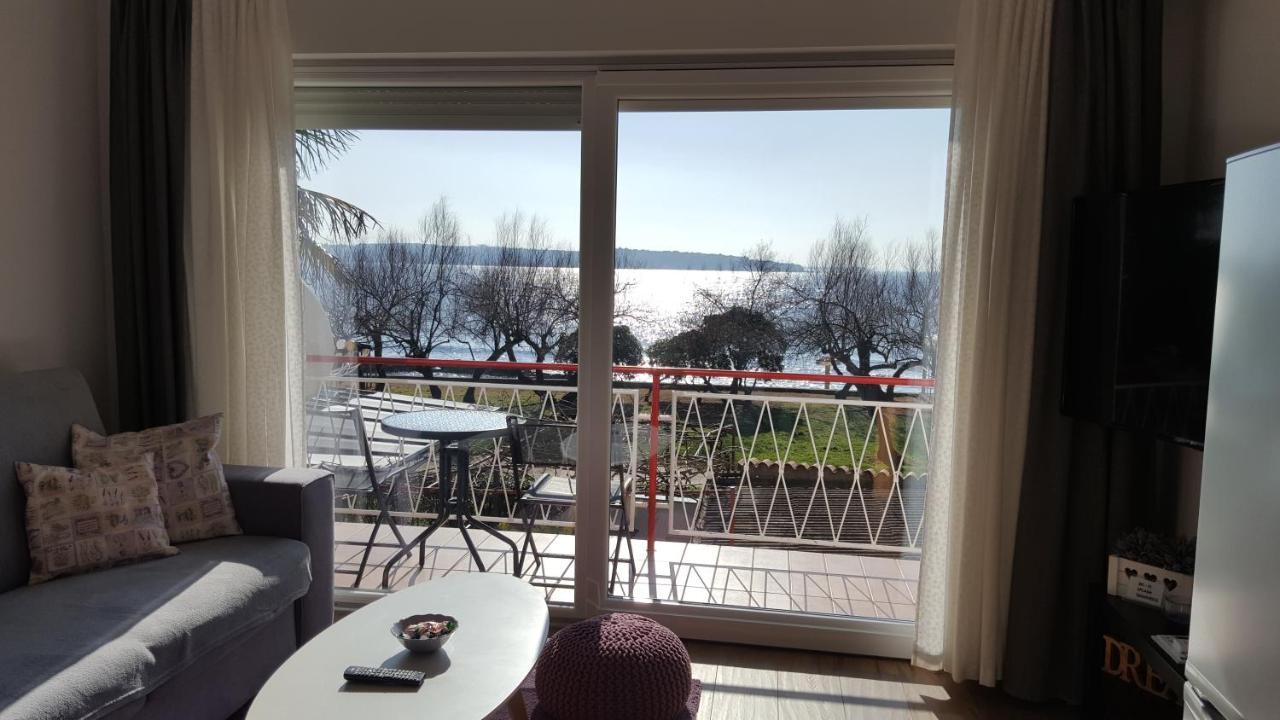 Apartman Luka Novigrad  Bagian luar foto